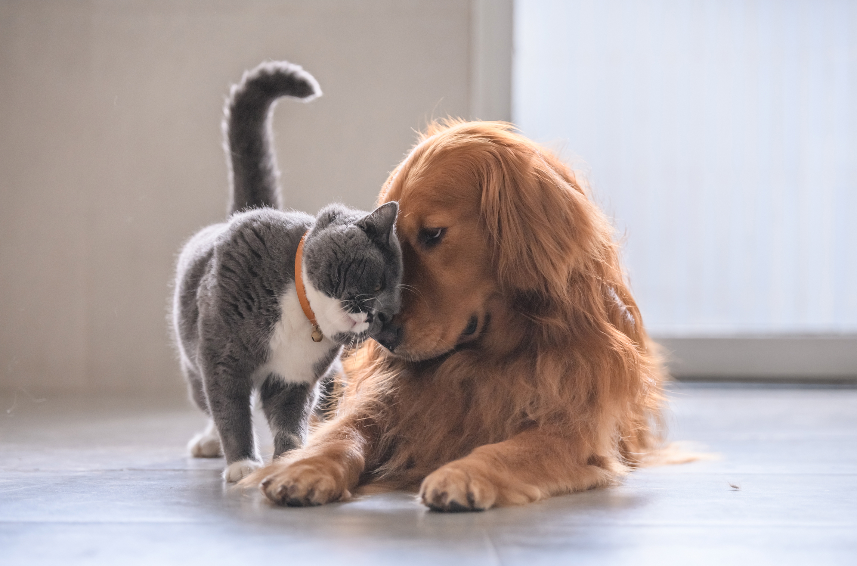 Behavior Correction