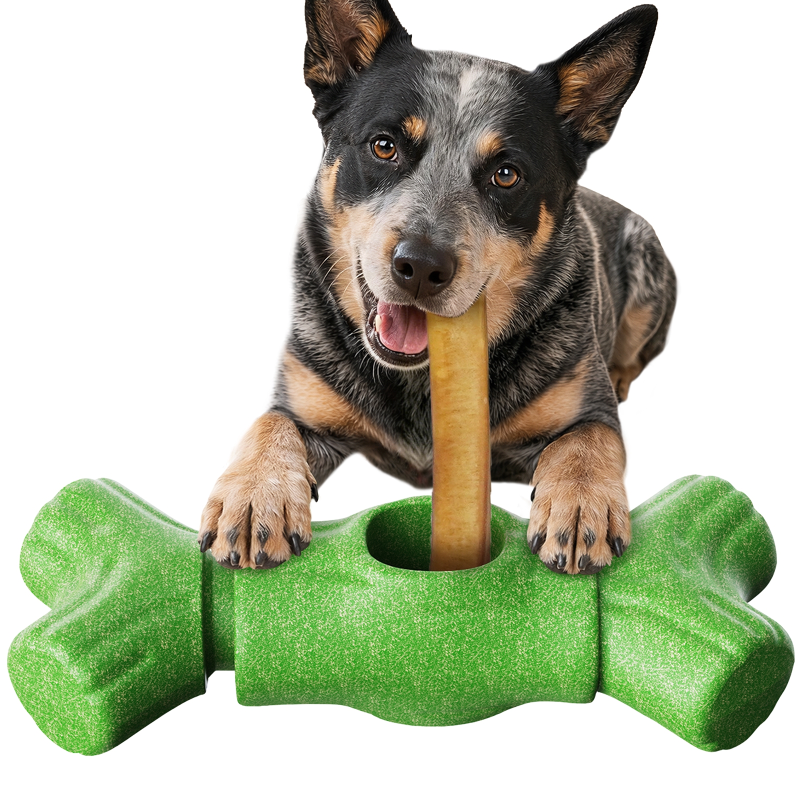KADTC 2 in 1 Extra-Large Size Durable Dog Bully Stick Holder & Indestructible Chew Toy
